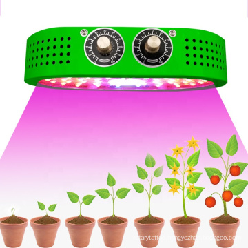 1000W Full Spectrum LED COB Indoor Hydroponics Plant Grow Light for Green Plant Growth LED Bulbs Lamp